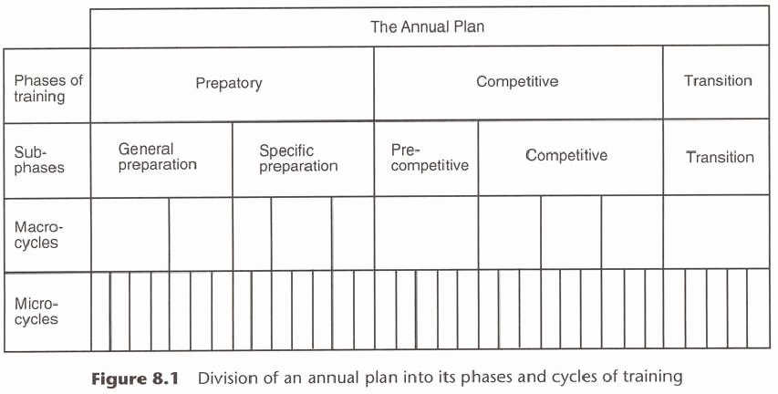 College Football Practice Schedule Template Lovely Annual Training Program Fitness