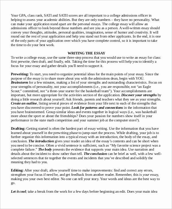 College Introduction Paragraph Examples Awesome College Essay Example 7 Samples In Word Pdf