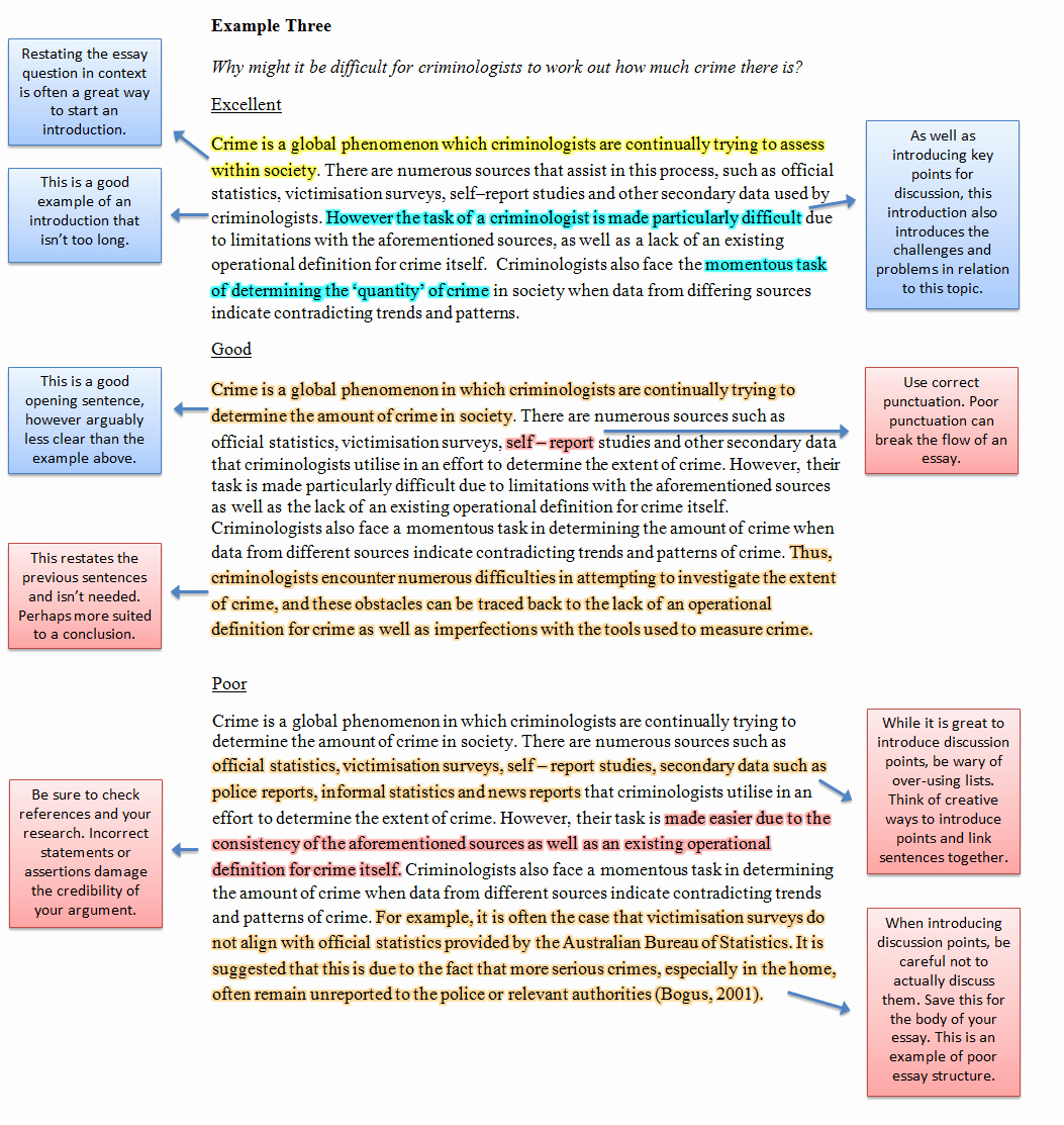 College Introduction Paragraph Examples Unique Examples Of Legal Writing Law School the University Of