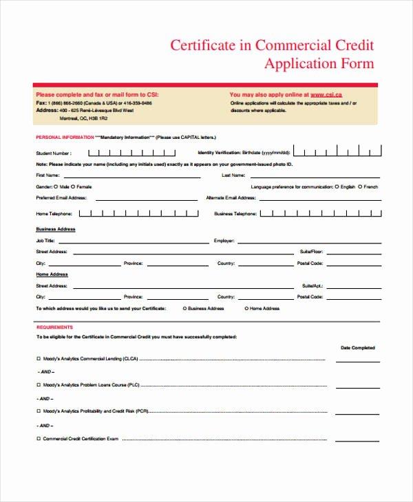Commercial Credit Application Beautiful 32 Credit Application forms In Pdf