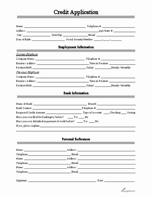 Commercial Credit Application New Free Printable Business Credit Application form form Generic