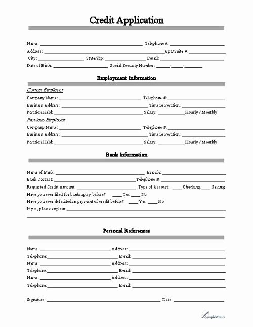 Commercial Credit Application Template Inspirational Credit Application form Business forms