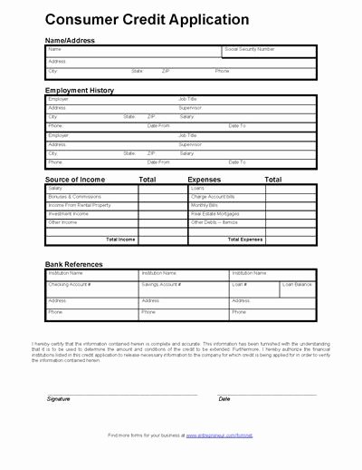 Commercial Credit Application Template New Consumer Credit Application form