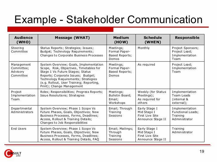 Communication Matrix Template Best Of Stakeholder Munication