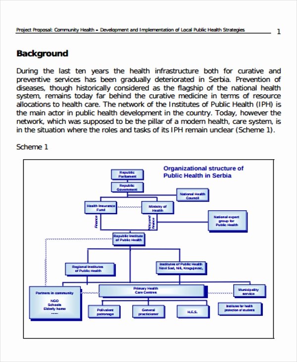 Community Project Proposal Inspirational 38 Project Proposal Samples Word Pdf