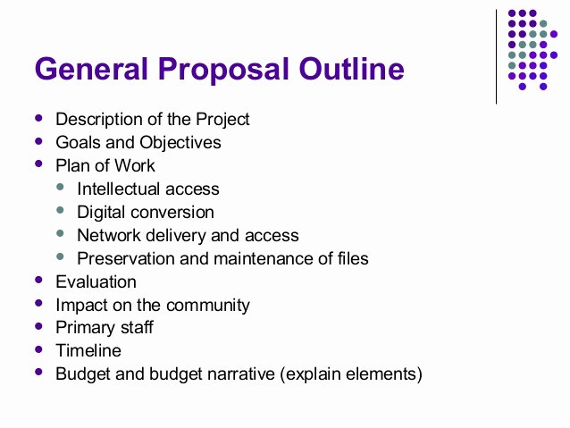 Community Project Proposal Luxury Planning and Implementing A Digital Library Project