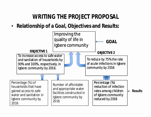 Community Project Proposal Unique Project Proposal Writing by Oji Ogbureke