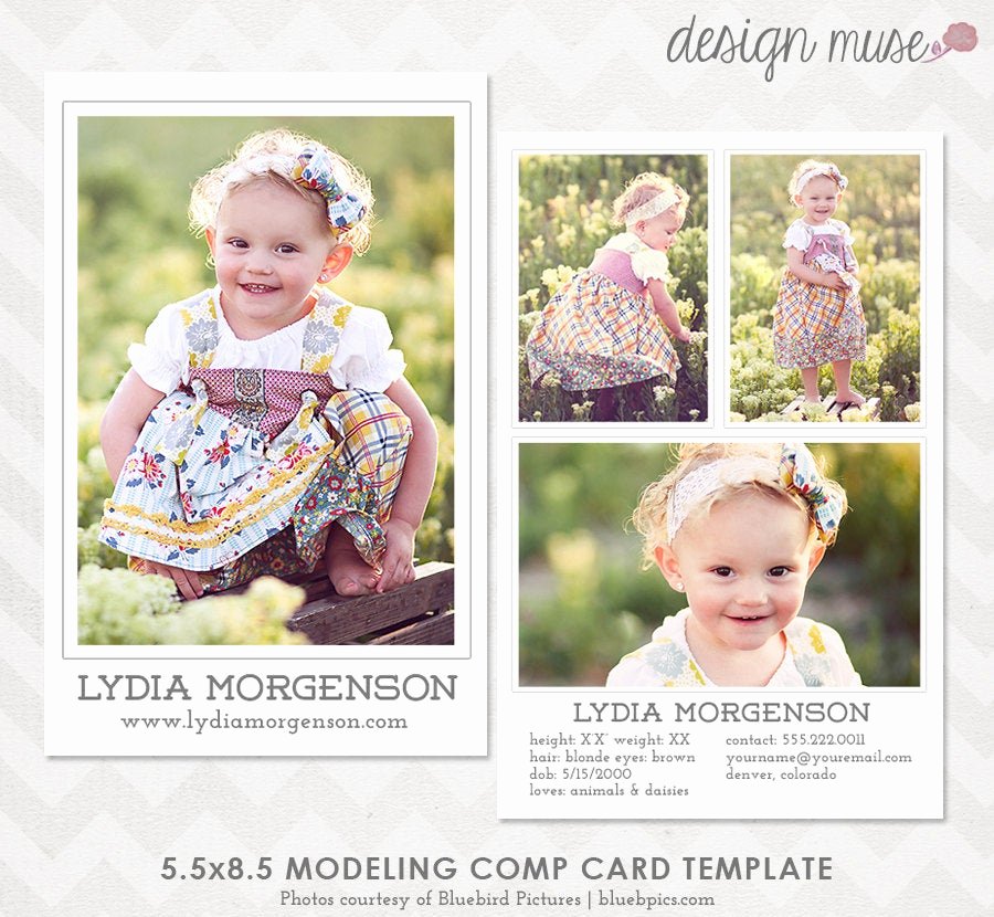 Comp Card Template Psd Download Inspirational Model P Card Template for Professional Graphers