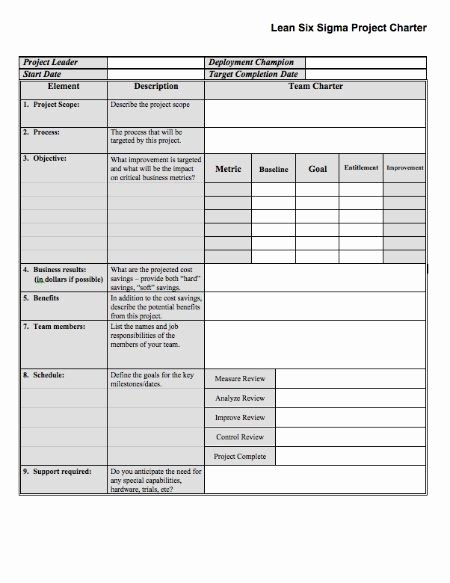 Company Charter Example Lovely Lss Project Charter Designed