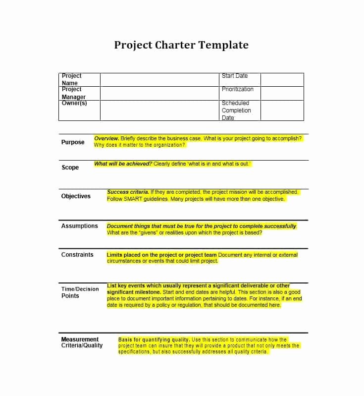 Company Charter Template Luxury 40 Project Charter Templates &amp; Samples [excel Word