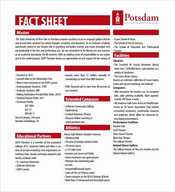 Company Fact Sheet Example Best Of 24 Fact Sheet Templates Pdf Doc