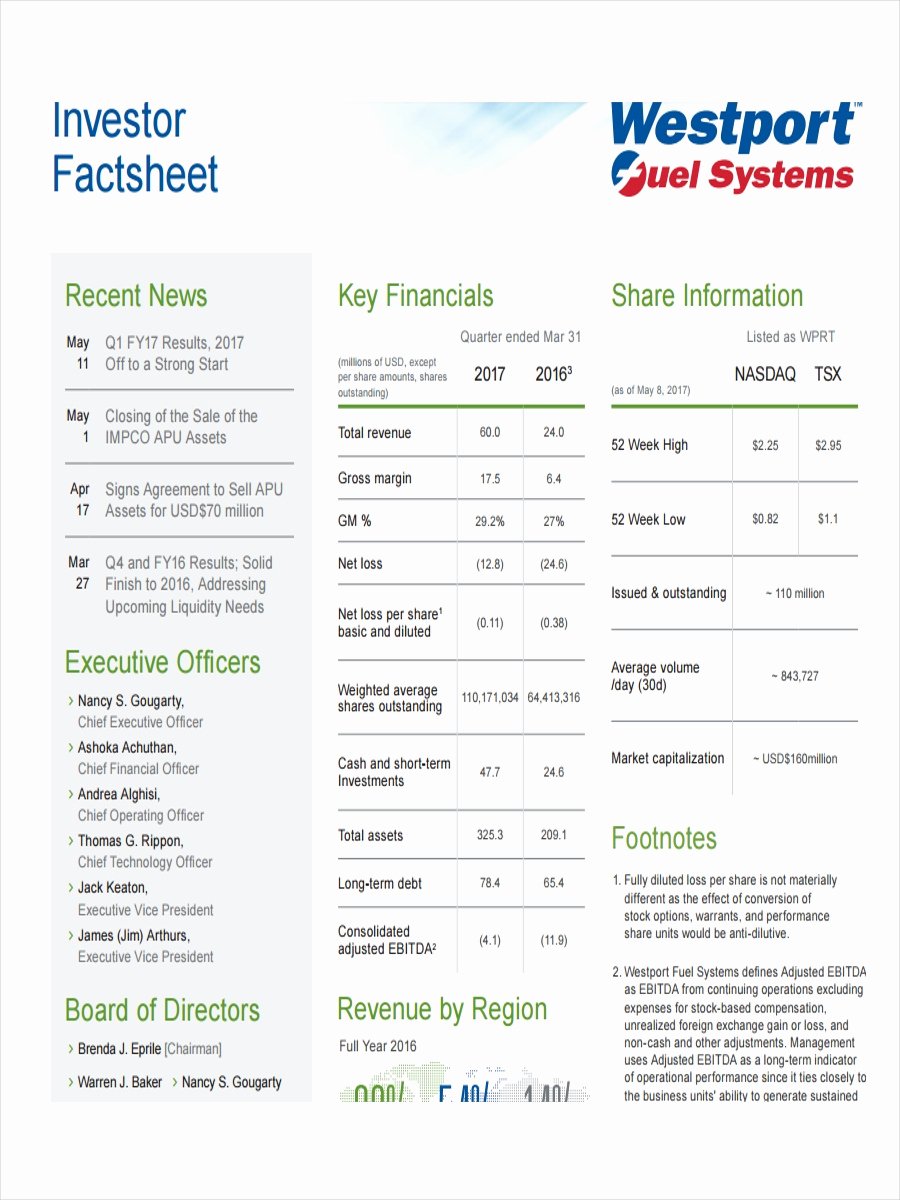 Company Fact Sheet Example Elegant 19 Examples Of Fact Sheets