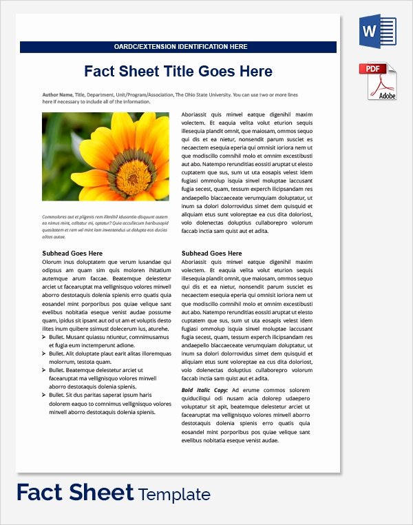 Company Fact Sheet Example Fresh Sample Fact Sheet Template 21 Free Download Documents