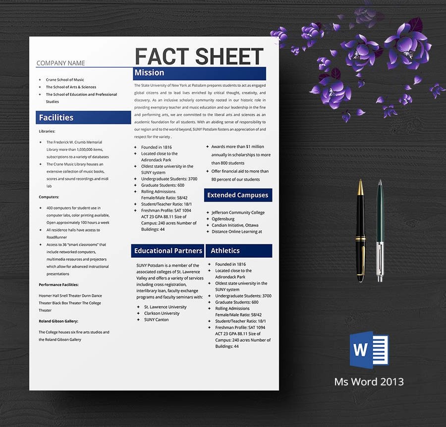 Company Fact Sheet Example New 8 Free Fact Sheet Templates Survey Campaign