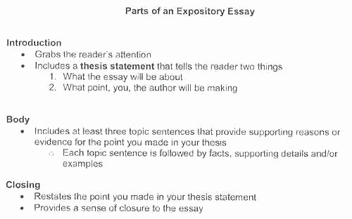 Comparative Critique Essay Example Unique Stanmartin – Resume Model