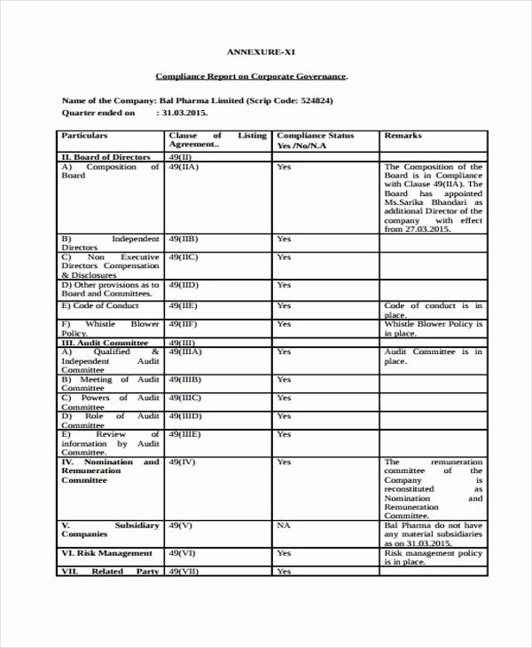 Compliance Audit Report Template Beautiful 12 Pliance Report Templates