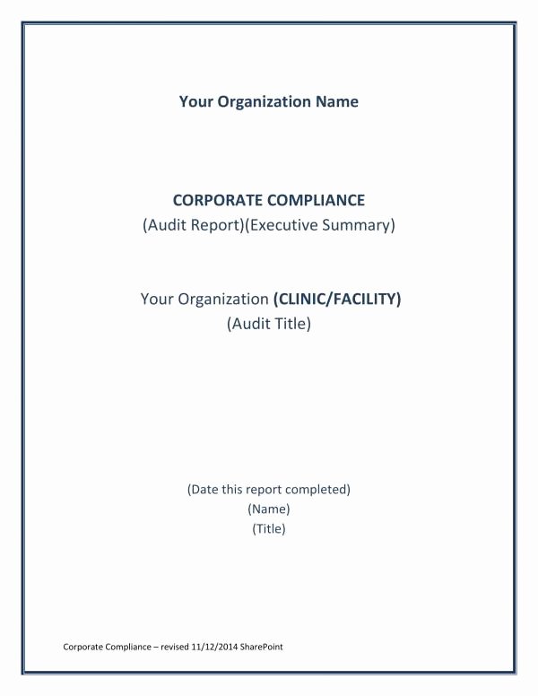 Compliance Audit Report Template Fresh 11 Pliance Audit Report Samples and Templates Pdf