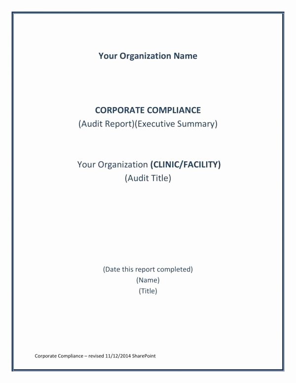 Compliance Audit Report Template Fresh 11 Pliance Audit Report Samples and Templates Pdf