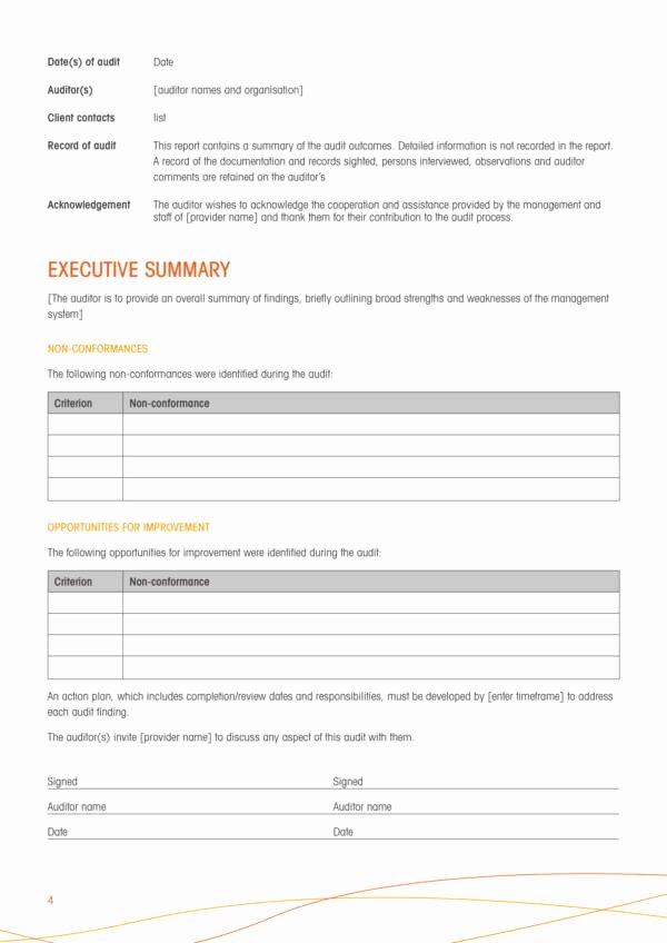 Compliance Audit Report Template Inspirational 11 Pliance Audit Report Samples and Templates Pdf