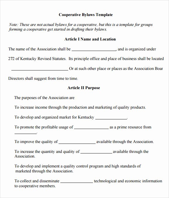 Condo Budget Template Elegant Civic association bylaws Template Templates Resume