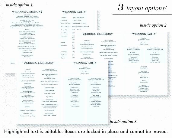 Conference Program Booklet Template Awesome event Program Booklet Template