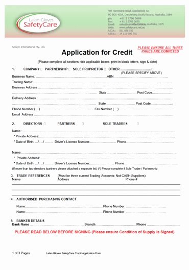 Consumer Credit Application form Awesome Free Printable Credit Application form form Generic