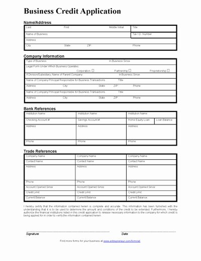 Consumer Credit Application form Elegant Free Printable Business Credit Application form form Generic