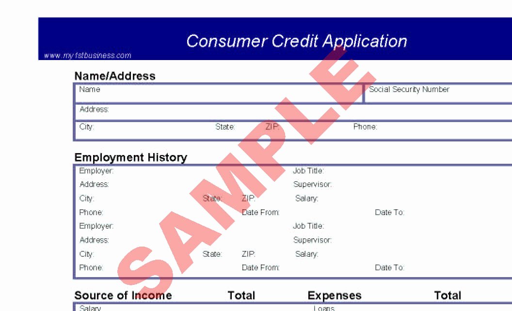 Consumer Credit Application form Inspirational Consumer Credit Application Preview