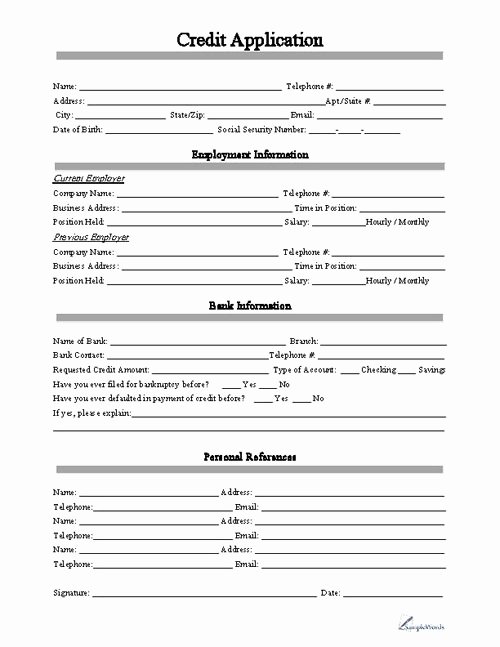 Consumer Credit Application form Luxury Free Printable Credit Application form form Generic