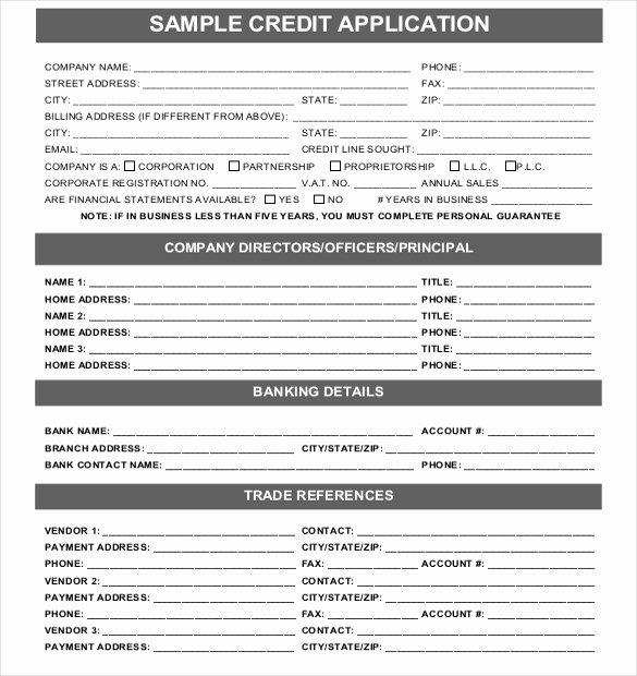 Consumer Credit Application form New 18 Credit Application Templates Free Google Docs