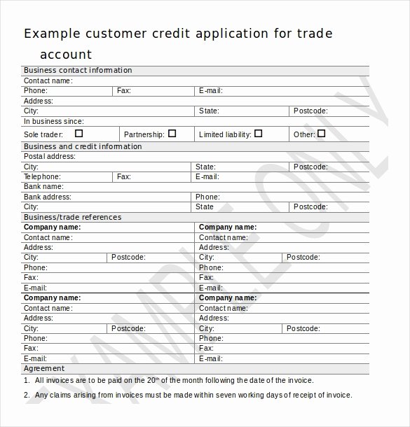Consumer Credit Application form Unique Credit Application Template – 13 Free Word Pdf Documents