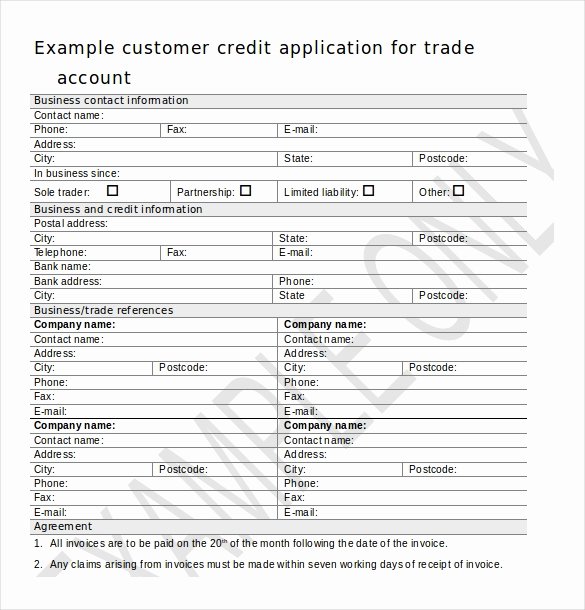Consumer Credit Application form Unique Credit Application Template – 13 Free Word Pdf Documents