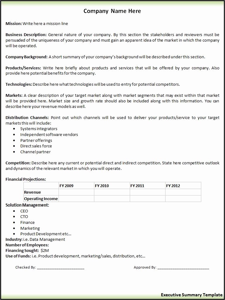 Contract Summary Template Lovely Executive Summary Layout