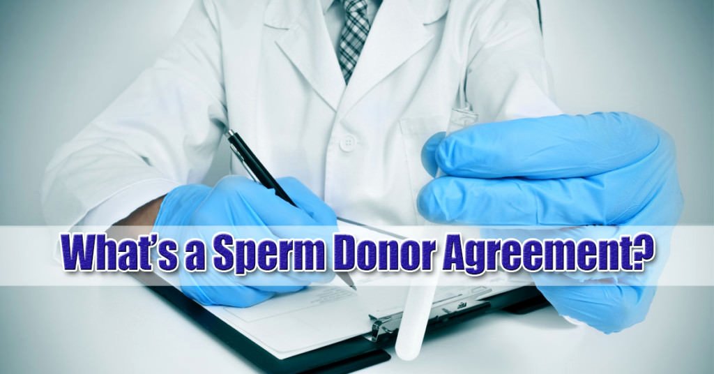 Contracts for Sperm Donors Template Beautiful Long island Family Law attorney