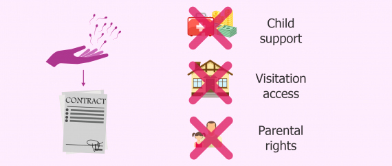 Contracts for Sperm Donors Template Lovely Iui with Donor Sperm Definition Process and Success Rates