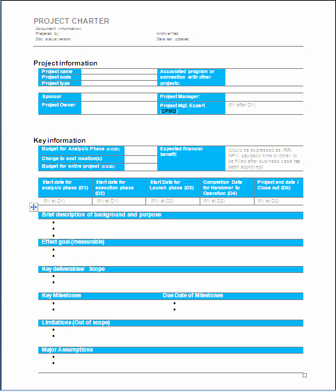 Corporate Charter Template Elegant Project Management E Learning Project Charter Sample 1