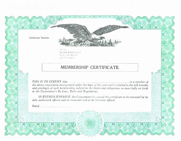 Corporate Seal Template Word Unique Certificate Template Australia Erieairfair