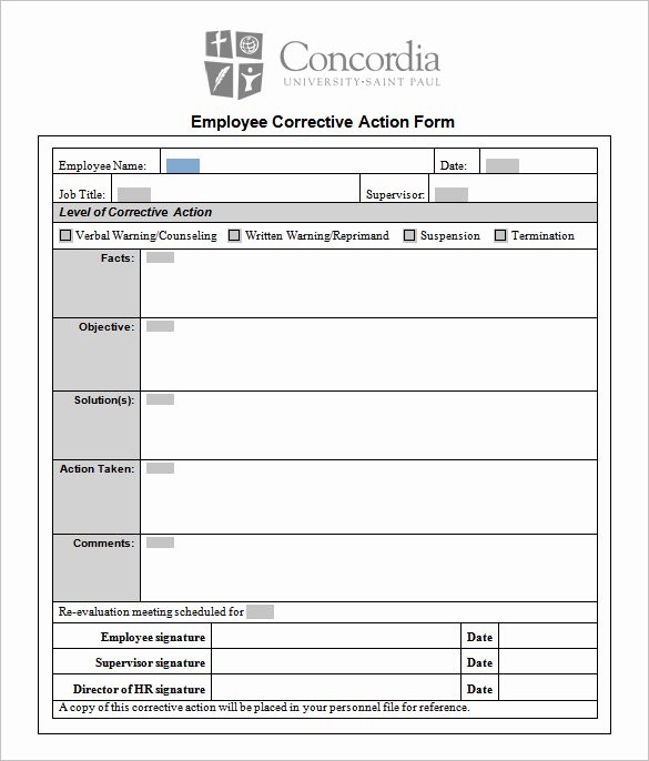 Corrective Action Preventive Action Template Luxury Corrective Action Plan Template 22 Free Word Excel