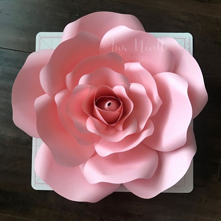 Cricut Paper Roses Luxury 58 Best Ann Neville Design Paper Flowers Images On