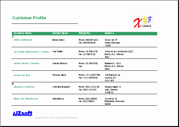 Customer Profile form Fresh Customer Profile Template Word