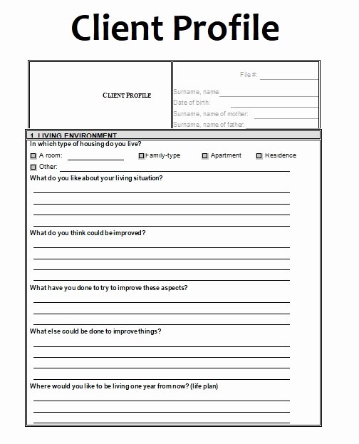 Customer Profile form Inspirational Business Templates