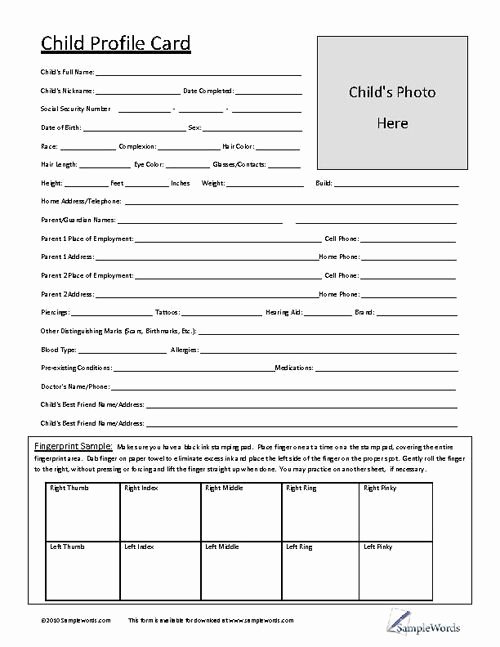 Customer Profile Template Excel Beautiful Child Profile Card Daycare