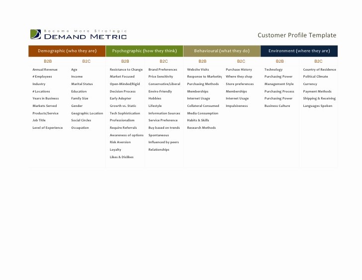 Customer Profile Template Excel Unique Customer Profile Template