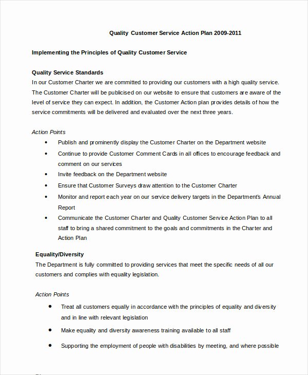 Customer Service Action Plan Examples Awesome Action Plan Template 28 Free Pdf Word format