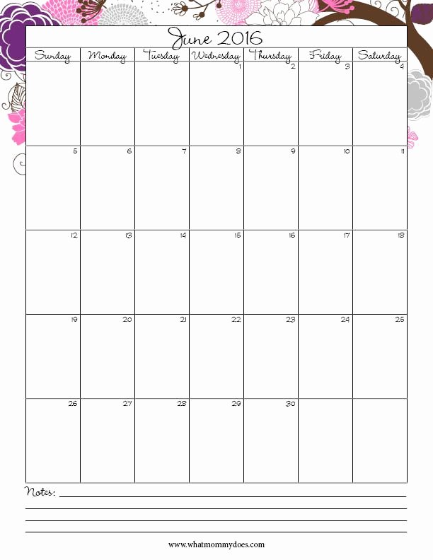 Cute Lesson Plan Template Fresh Free Printable 2016 Monthly Calendar