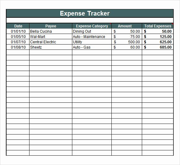 Daily Budget Template Excel Awesome Expense Tracking Template 7 Download Free Documents In