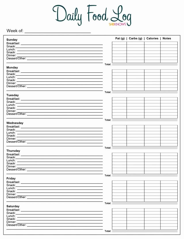 Daily Food Intake Chart Lovely Daily Food Log Free Printable