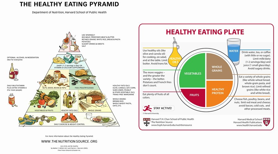 Daily Food Intake Chart Lovely Daily Nutritional Requirements Chart Best Picture