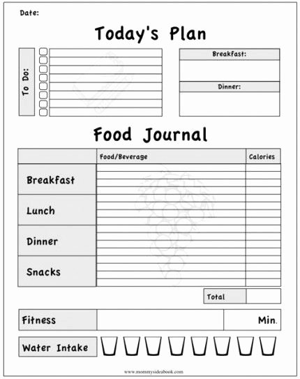 Daily Food Intake Chart Luxury Printable Workout Journal