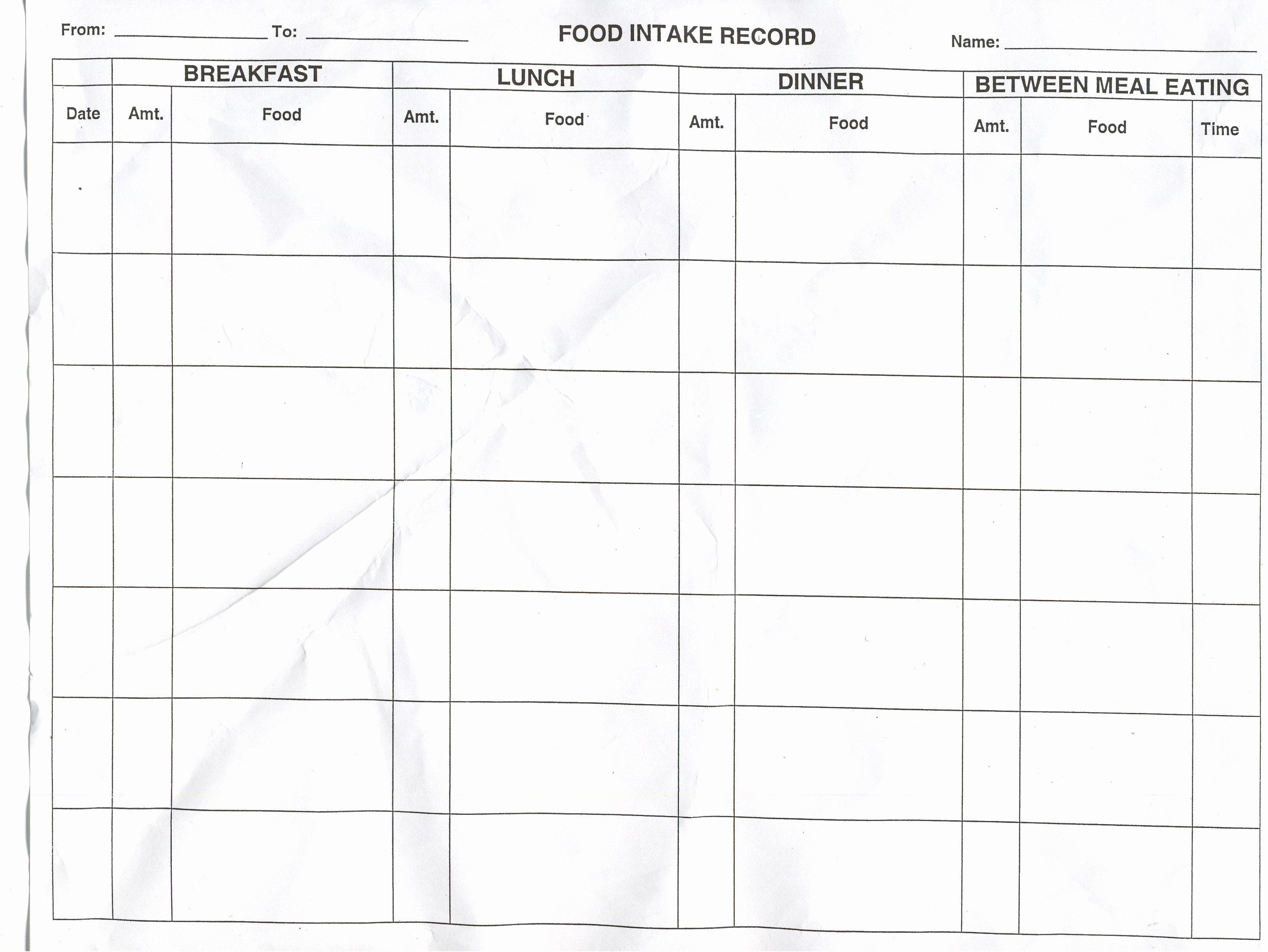 Daily Food Intake Chart Unique Best S Of Record Daily Food and Calories Daily